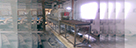 Degassing Chamber